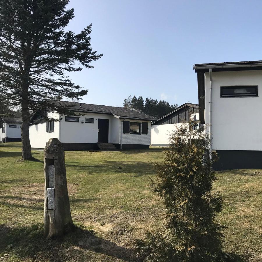 Modernes Ferienhaus Willingen Вилинген Екстериор снимка