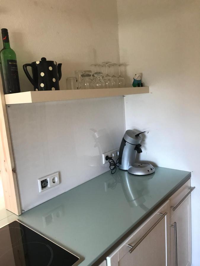 Modernes Ferienhaus Willingen Вилинген Екстериор снимка